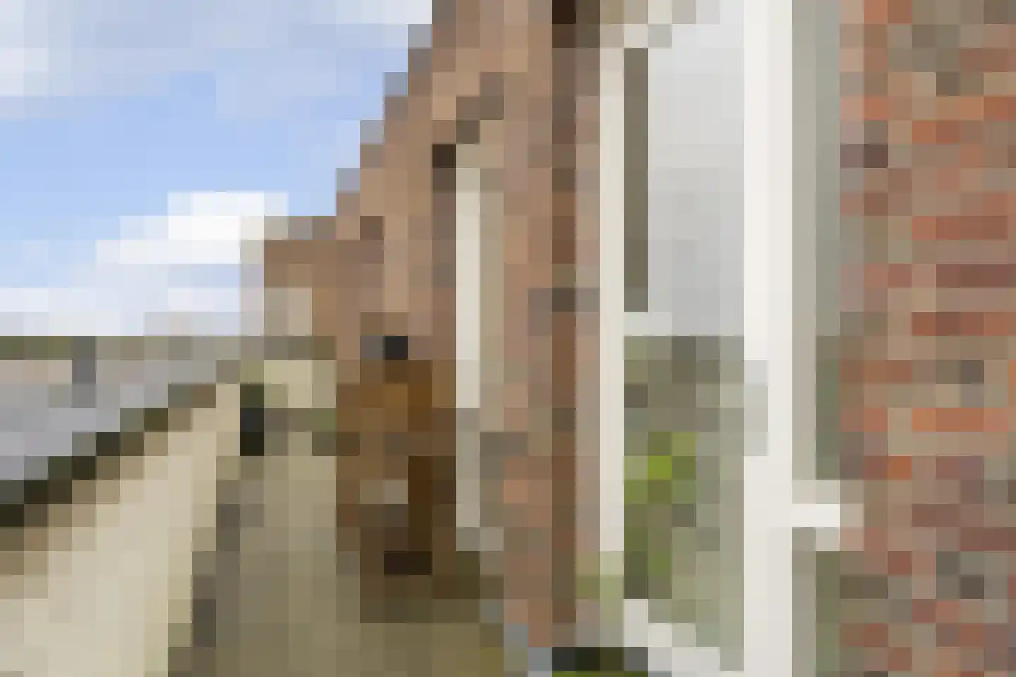 Parcivalring 533 's-Hertogenbosch thumbnail 26