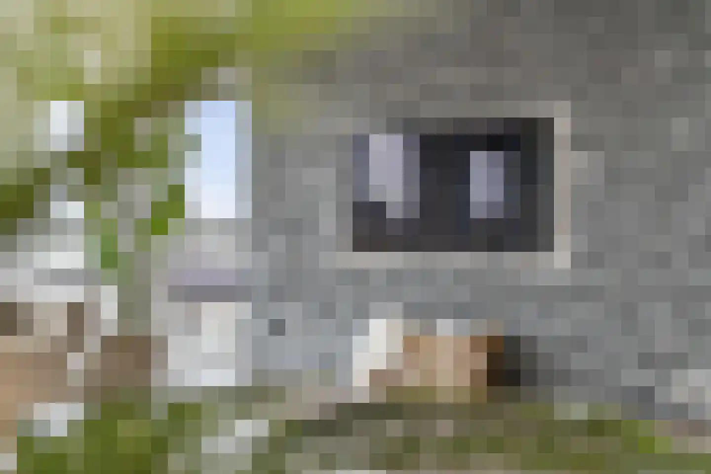 Parcivalring 533 's-Hertogenbosch thumbnail 30