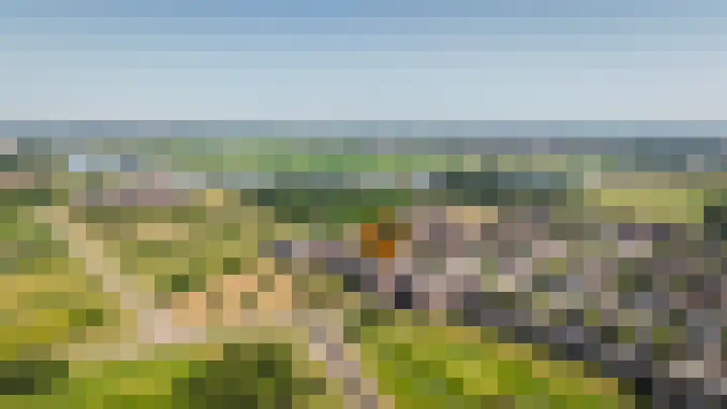 Parcivalring 535 's-Hertogenbosch thumbnail 48