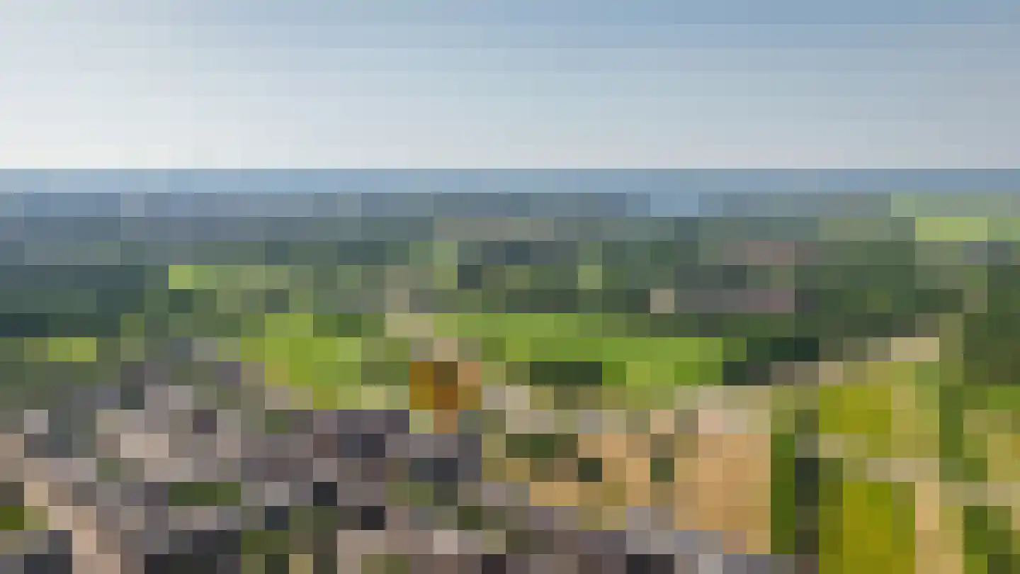 Parcivalring 535 's-Hertogenbosch thumbnail 49