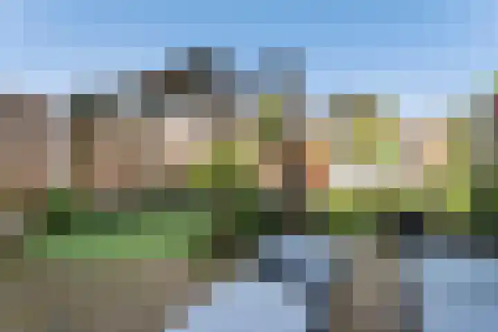 Parcivalring 76 's-Hertogenbosch thumbnail 16