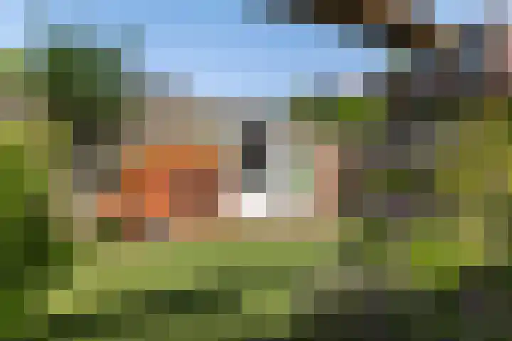 Parcivalring 76 's-Hertogenbosch thumbnail 17