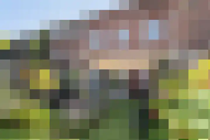 Parcivalring 76 's-Hertogenbosch thumbnail 18