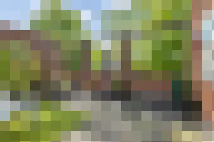 Parcivalring 76 's-Hertogenbosch thumbnail 36