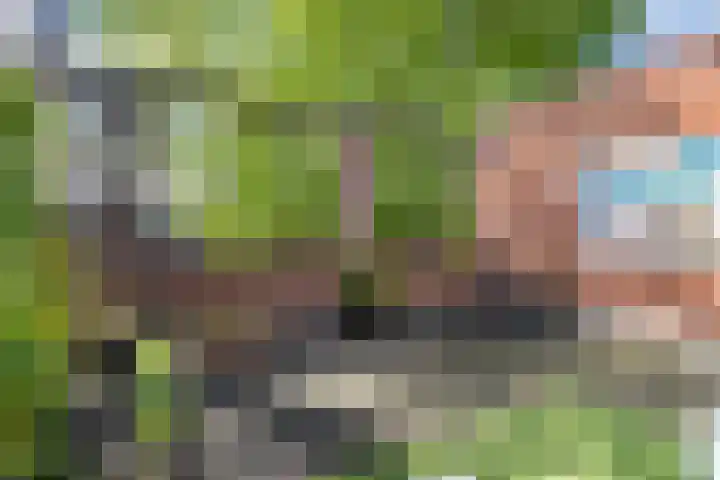Parcivalring 76 's-Hertogenbosch thumbnail 38
