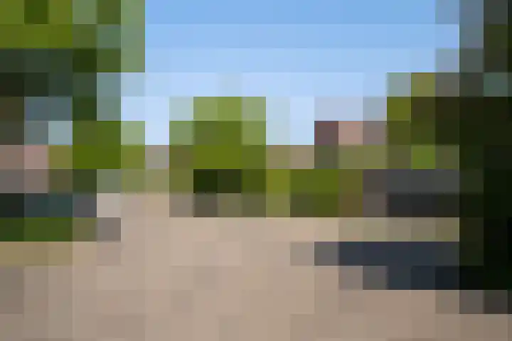 Parcivalring 76 's-Hertogenbosch thumbnail 41