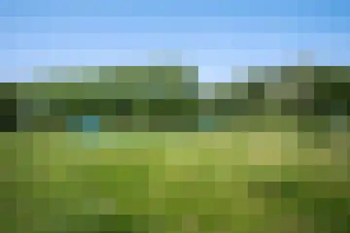 Parcivalring 76 's-Hertogenbosch thumbnail 42