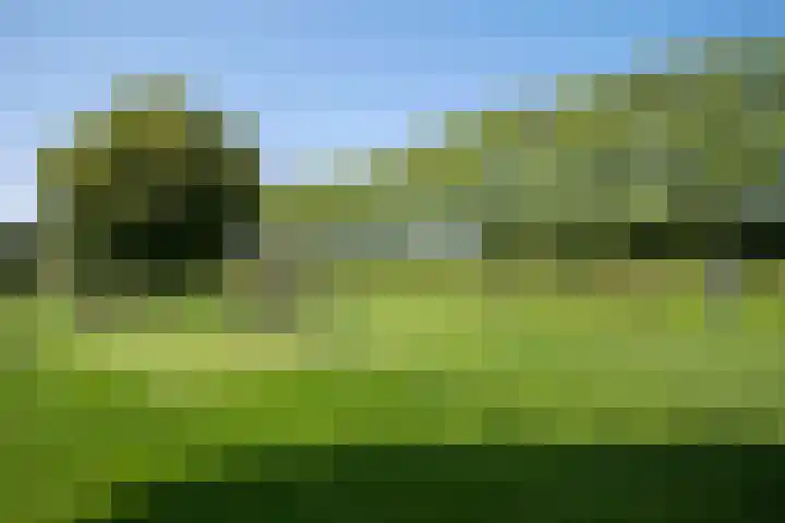 Parcivalring 76 's-Hertogenbosch thumbnail 43