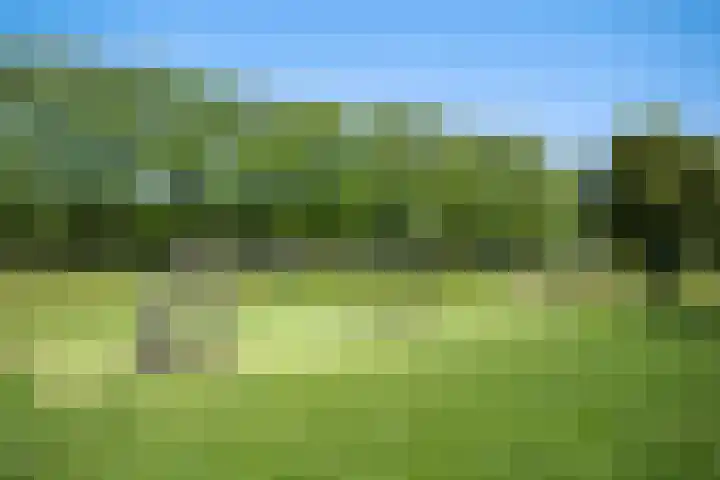 Parcivalring 76 's-Hertogenbosch thumbnail 44