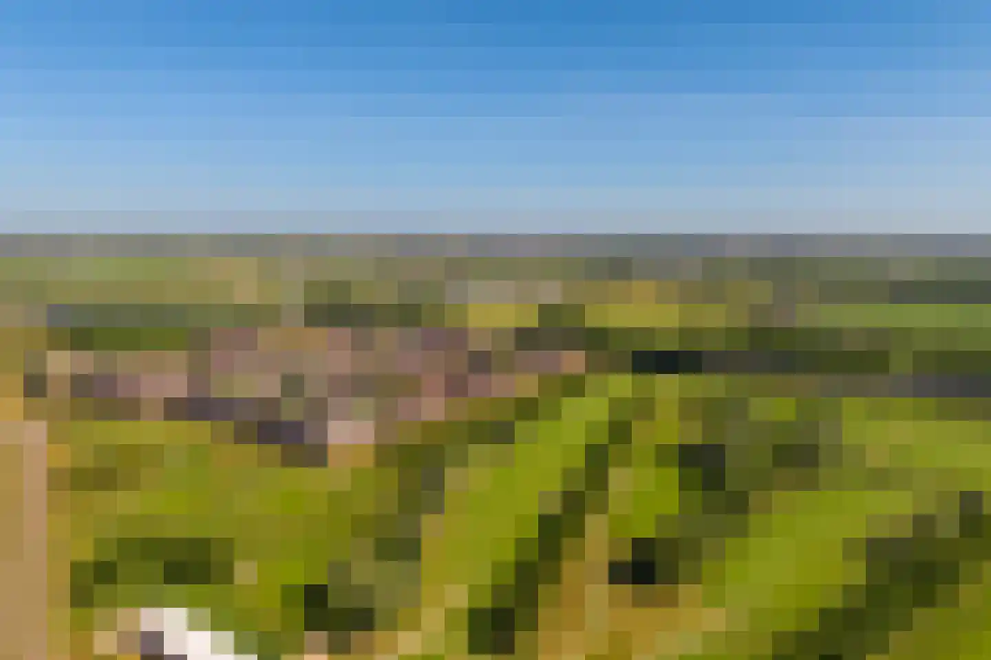 Parcivalring 90 's-Hertogenbosch thumbnail 50