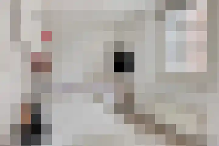Parcivalring 96 's-Hertogenbosch thumbnail 37