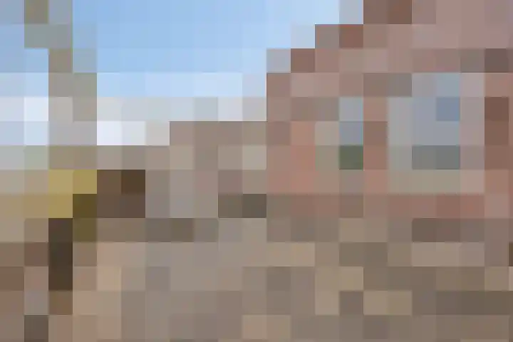 Parcivalring 96 's-Hertogenbosch thumbnail 42