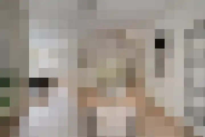 Parcivalstraat 6 Eindhoven thumbnail 12