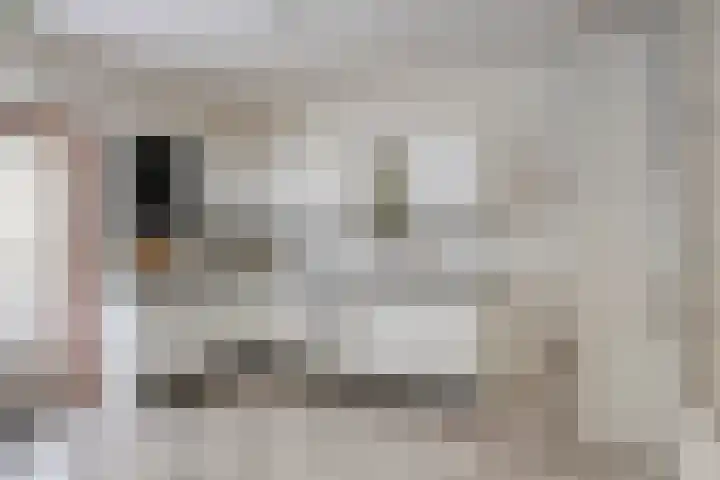Parcivalstraat 6 Eindhoven thumbnail 17