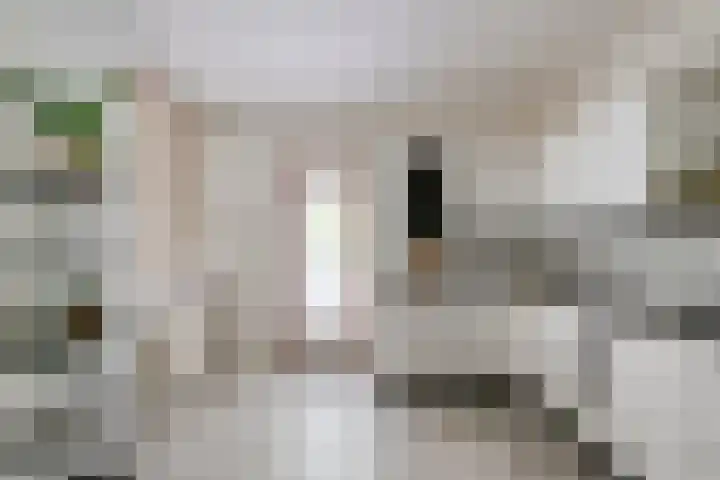 Parcivalstraat 6 Eindhoven thumbnail 18