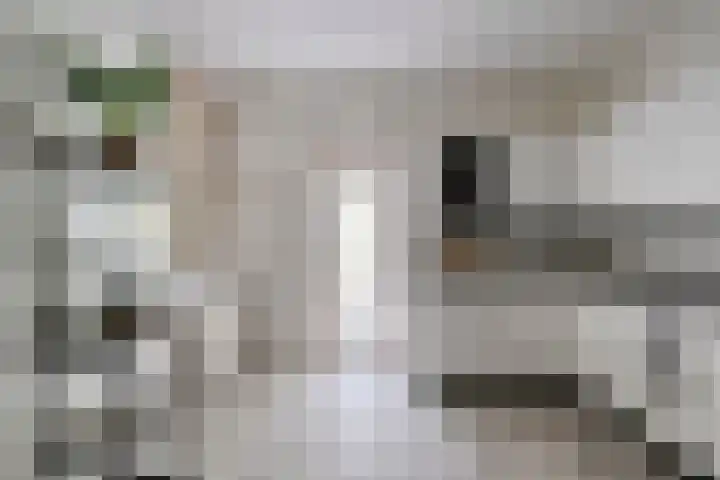 Parcivalstraat 6 Eindhoven thumbnail 20