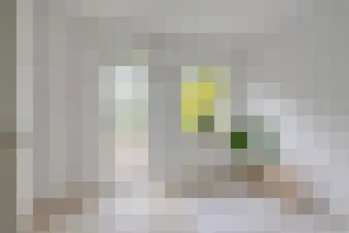 Parcivalstraat 6 Eindhoven thumbnail 22