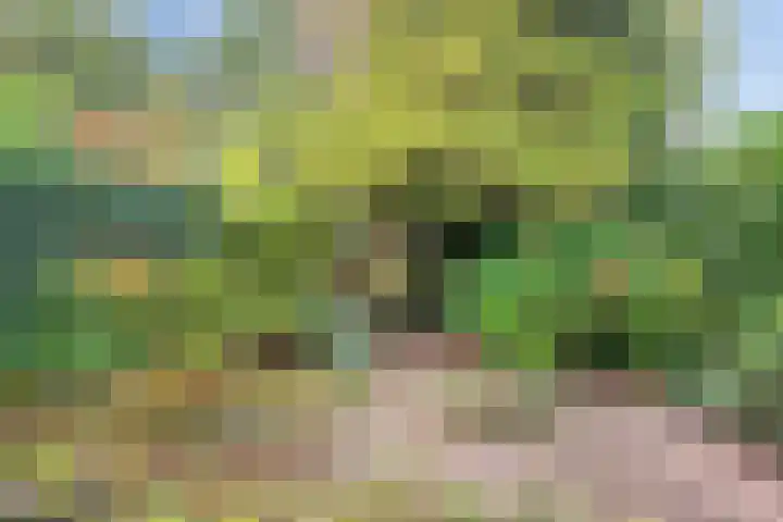 Parcivalstraat 6 Eindhoven thumbnail 38
