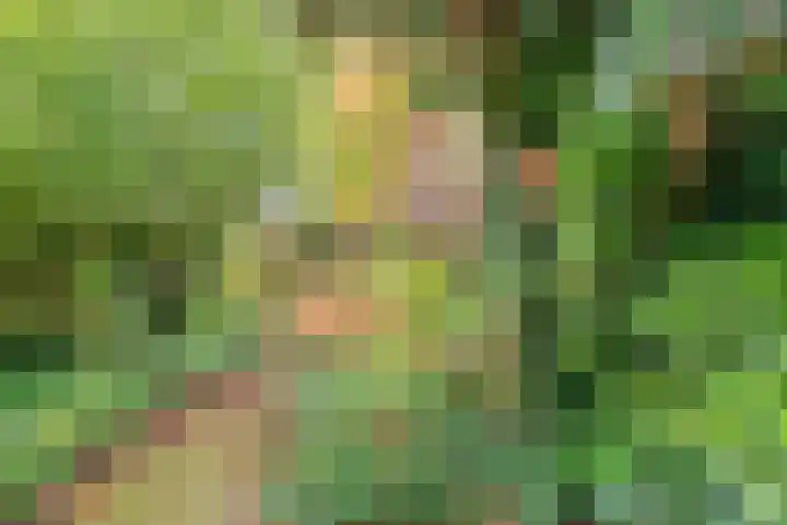 Parcivalstraat 6 Eindhoven thumbnail 39