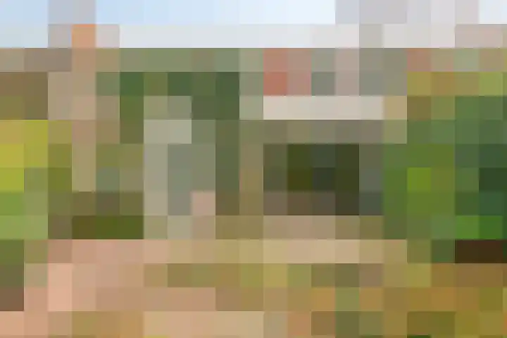 Parcivalstraat 6 Eindhoven thumbnail 46