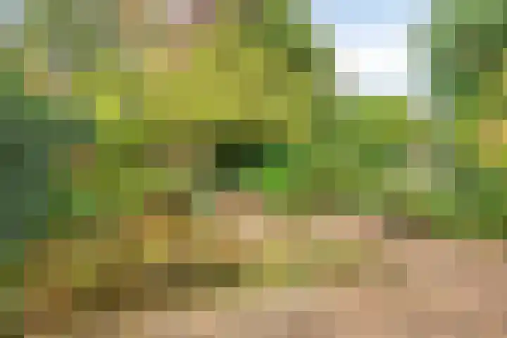 Parcivalstraat 6 Eindhoven thumbnail 47