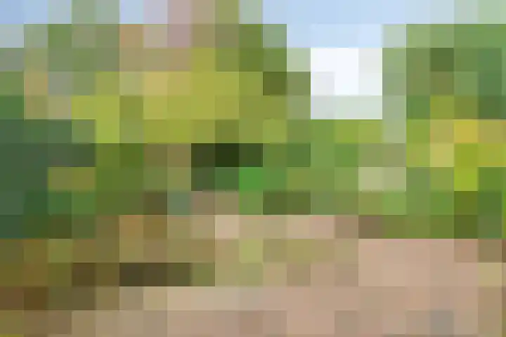 Parcivalstraat 6 Eindhoven thumbnail 49
