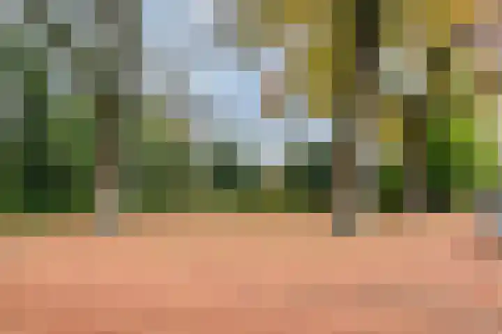 Parcivalstraat 6 Eindhoven thumbnail 56
