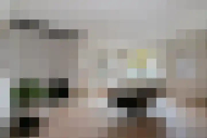 Parcivalstraat 6 Eindhoven thumbnail 6