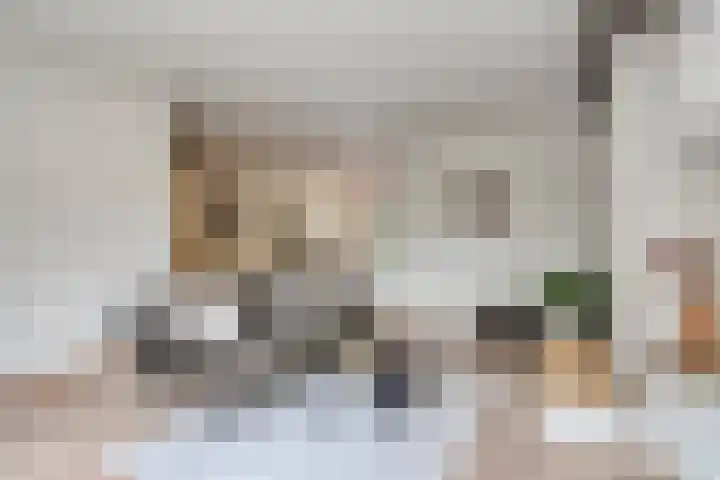 Parcivalstraat 6 Eindhoven thumbnail 7