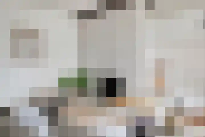 Parcivalstraat 6 Eindhoven thumbnail 9