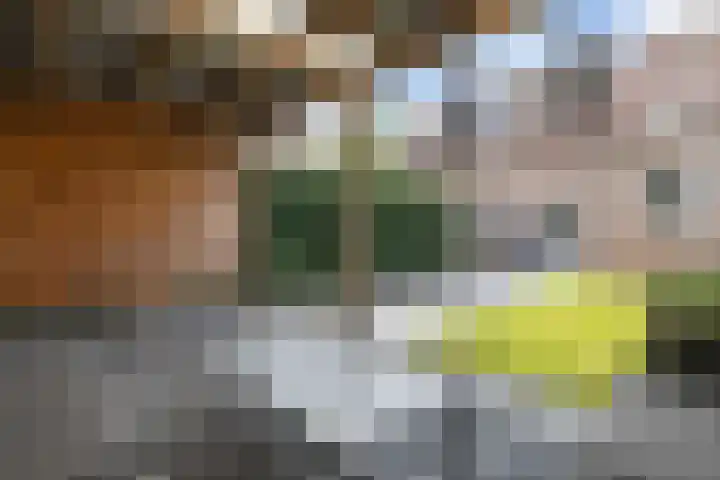 Parcours 7 Marknesse thumbnail 27