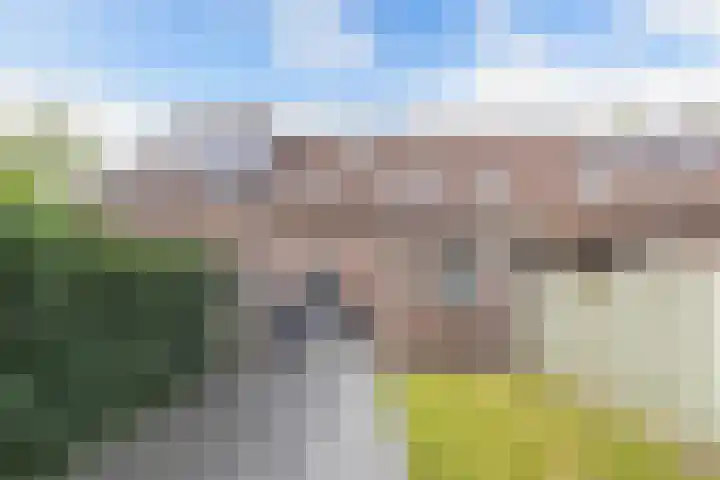 Parcours 7 Marknesse thumbnail 30