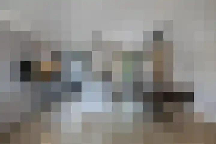 Parcours 7 Marknesse thumbnail 4