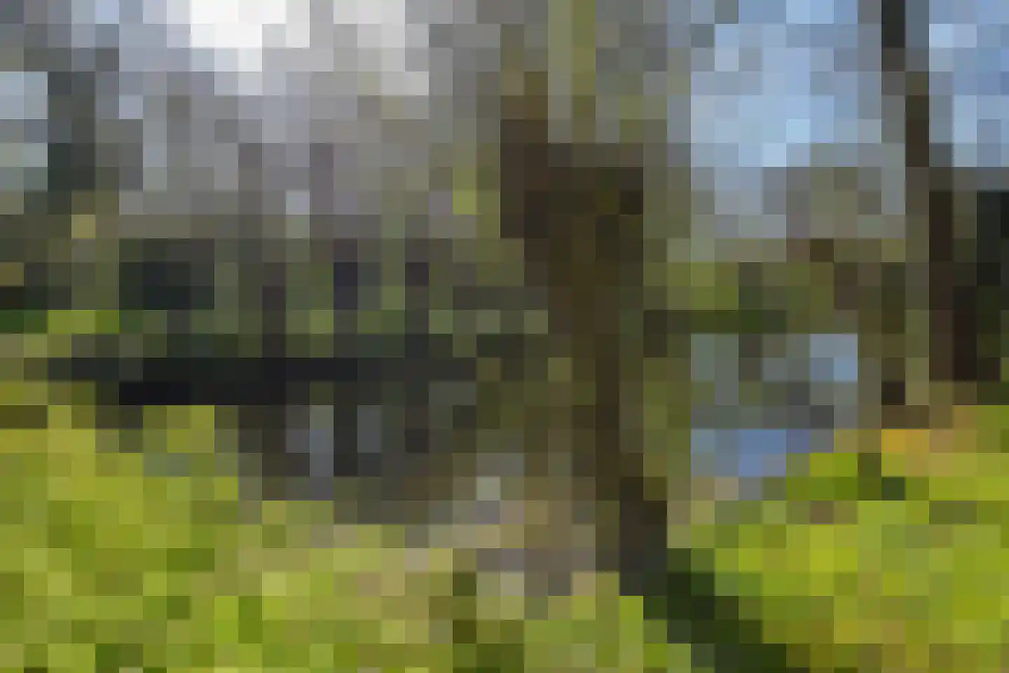 Parel 4 Mijdrecht thumbnail 37
