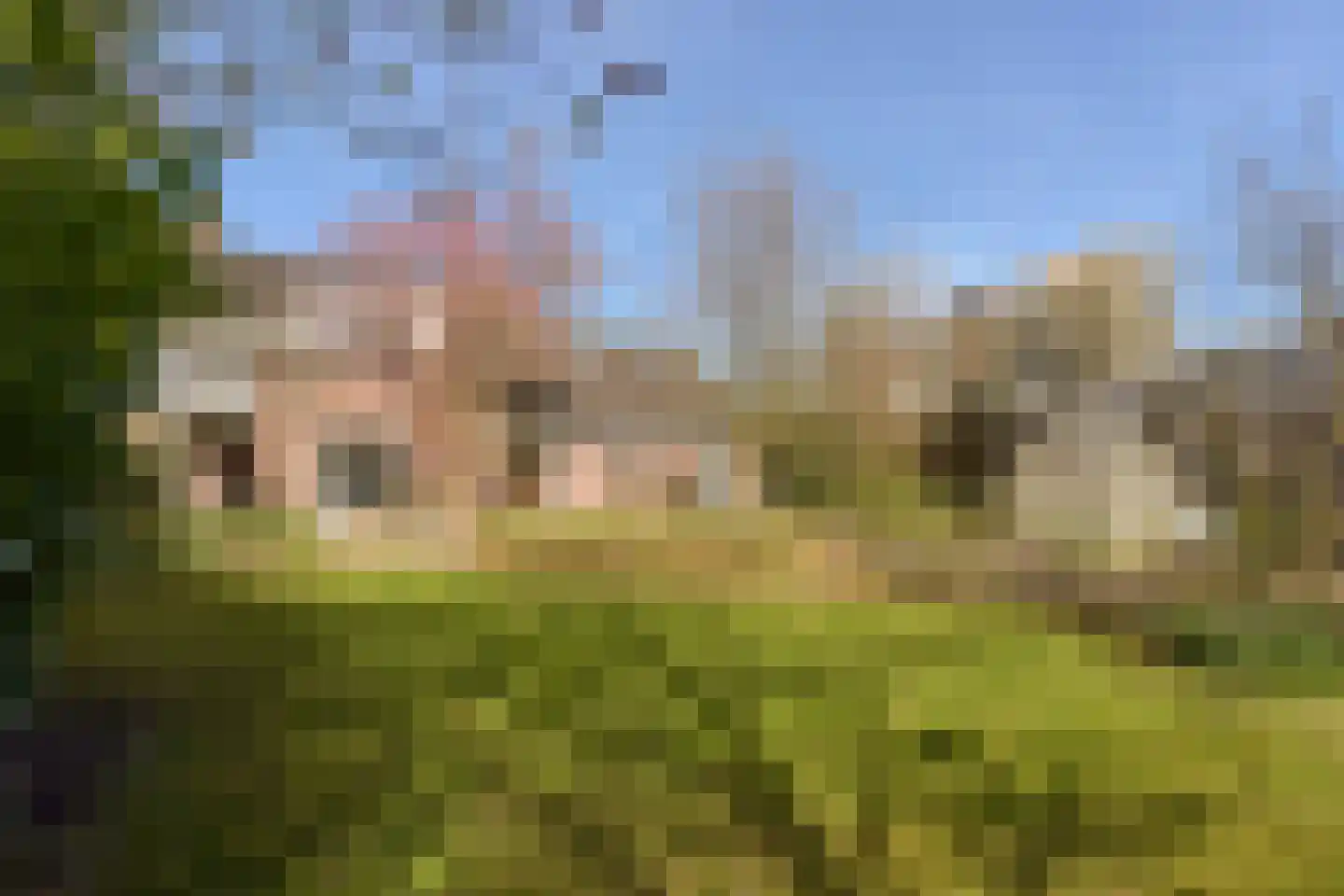 Parel 4 Mijdrecht thumbnail 4