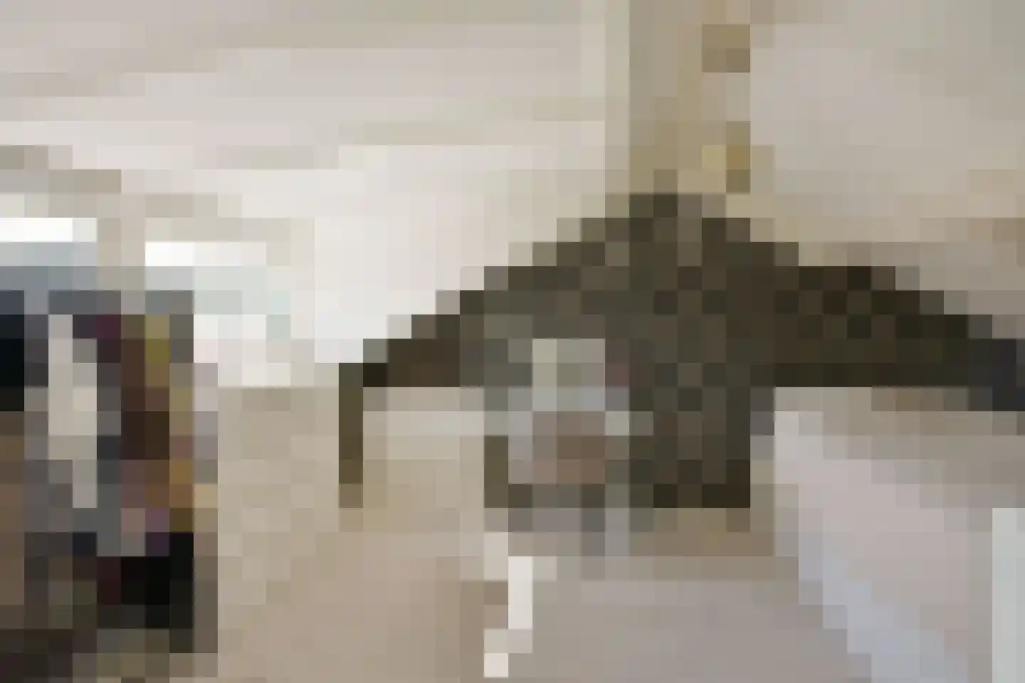 Parel 5 Mijdrecht thumbnail 23
