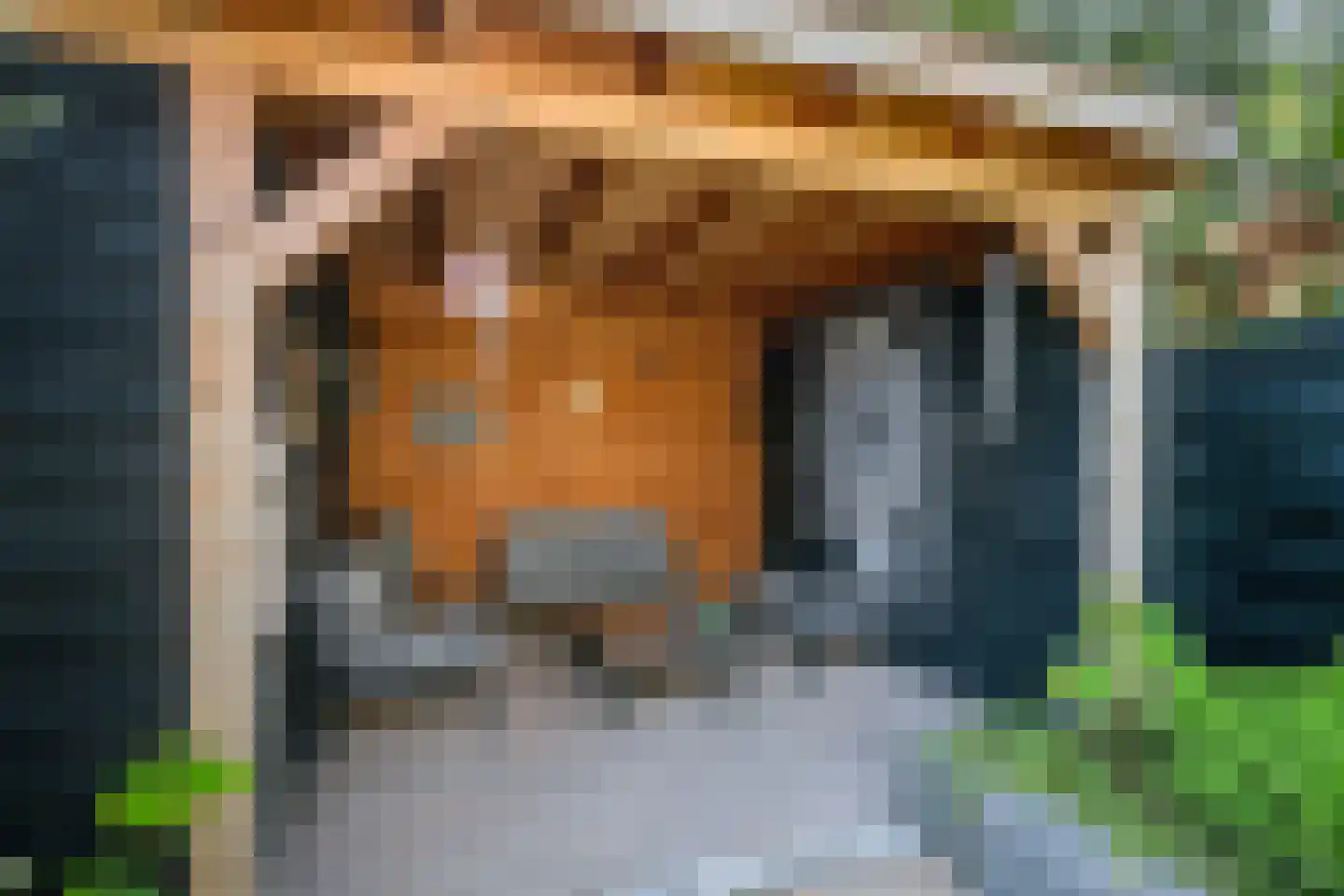 Parelduiker 1 Monster thumbnail 10