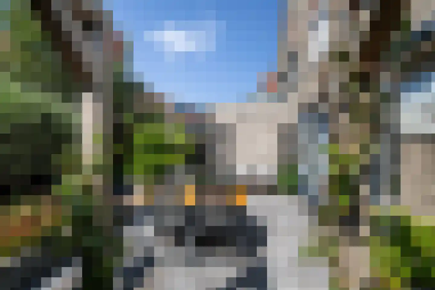 Parelduiker 1 Monster thumbnail 12
