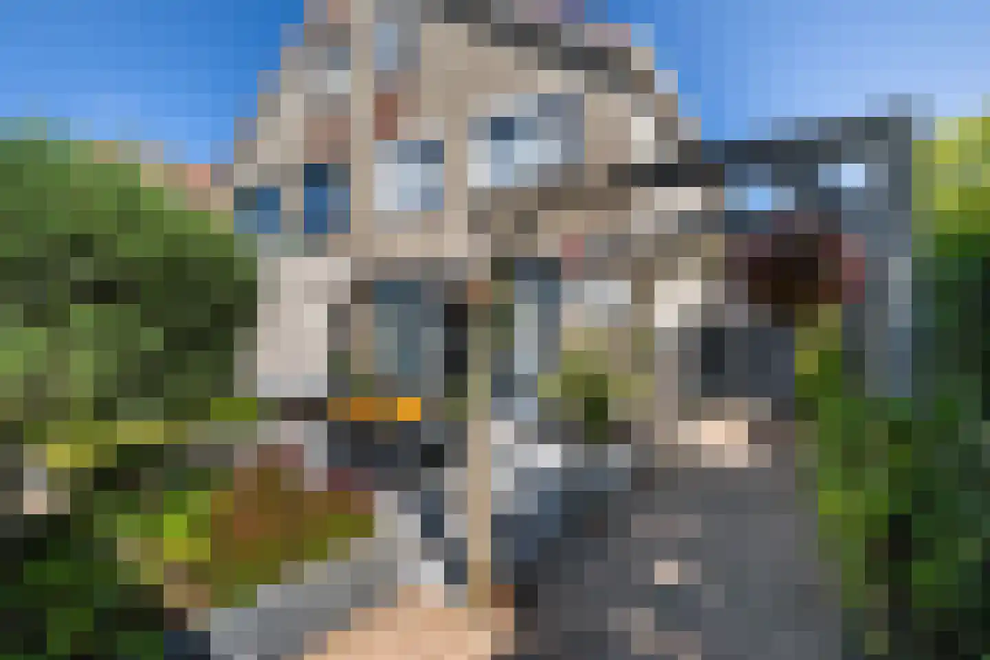 Parelduiker 1 Monster thumbnail 13