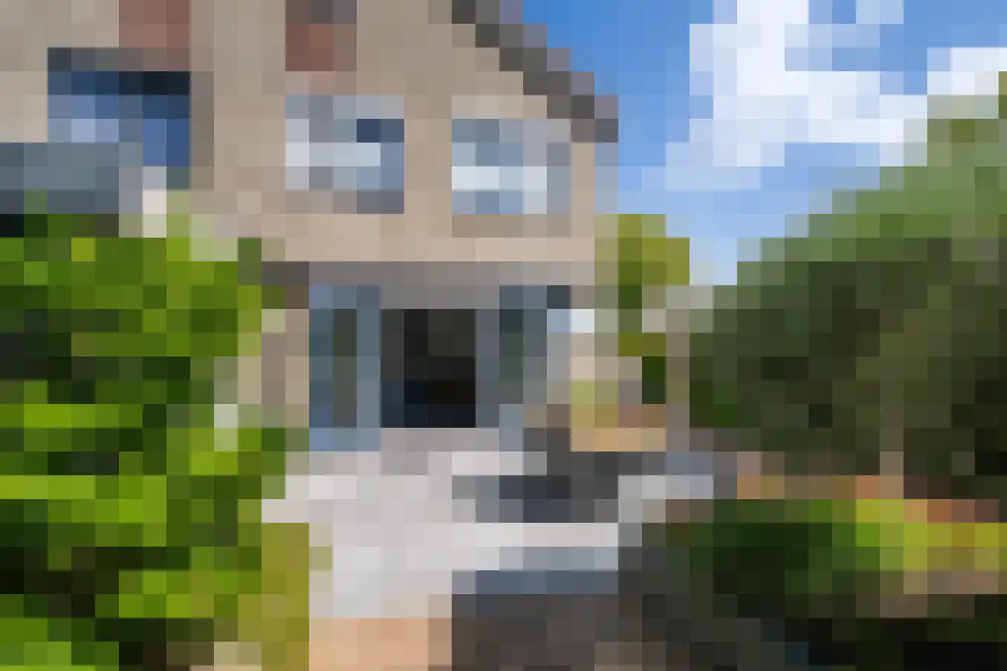 Parelduiker 1 Monster thumbnail 14