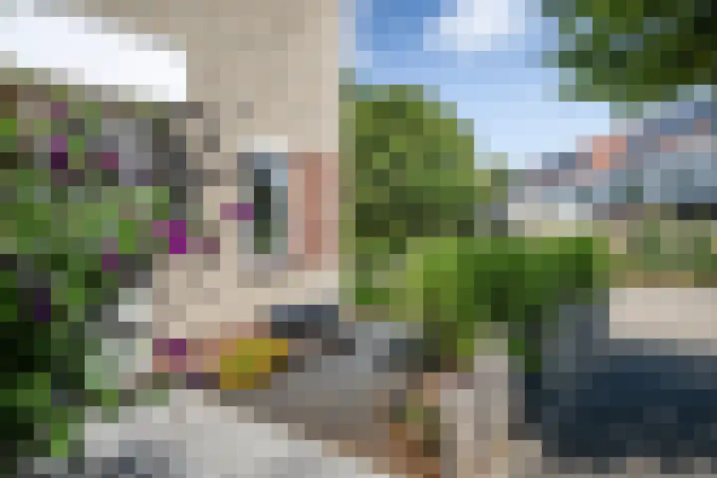Parelduiker 1 Monster thumbnail 42