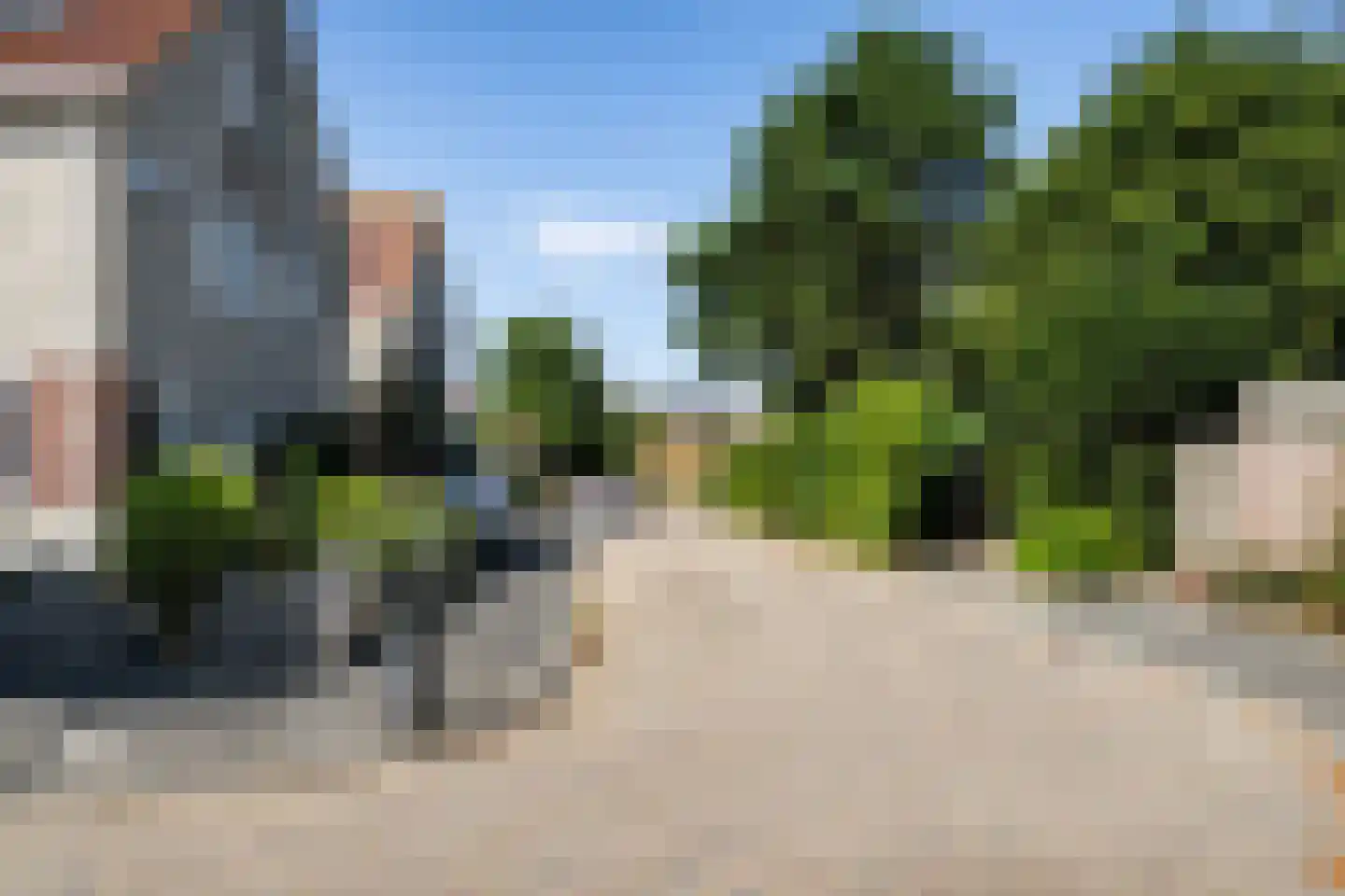Parelduiker 1 Monster thumbnail 43