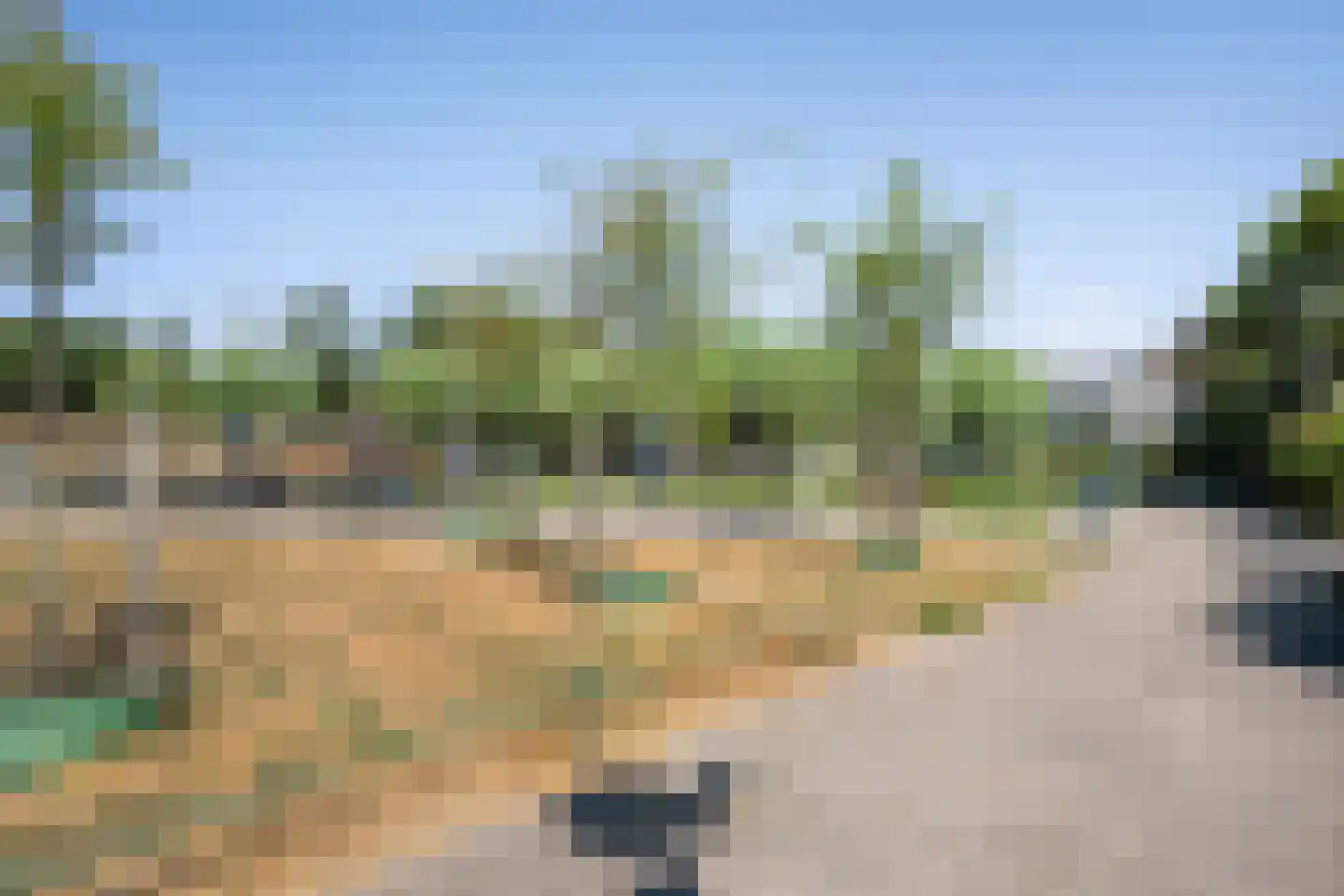Parelduiker 1 Monster thumbnail 47