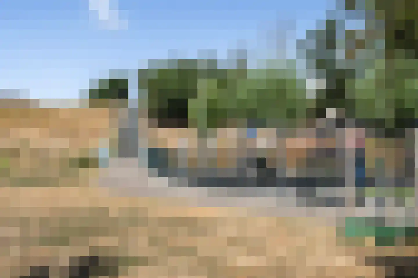 Parelduiker 1 Monster thumbnail 48