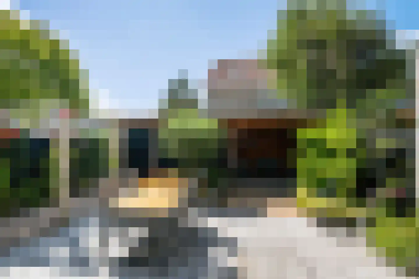 Parelduiker 1 Monster thumbnail 5