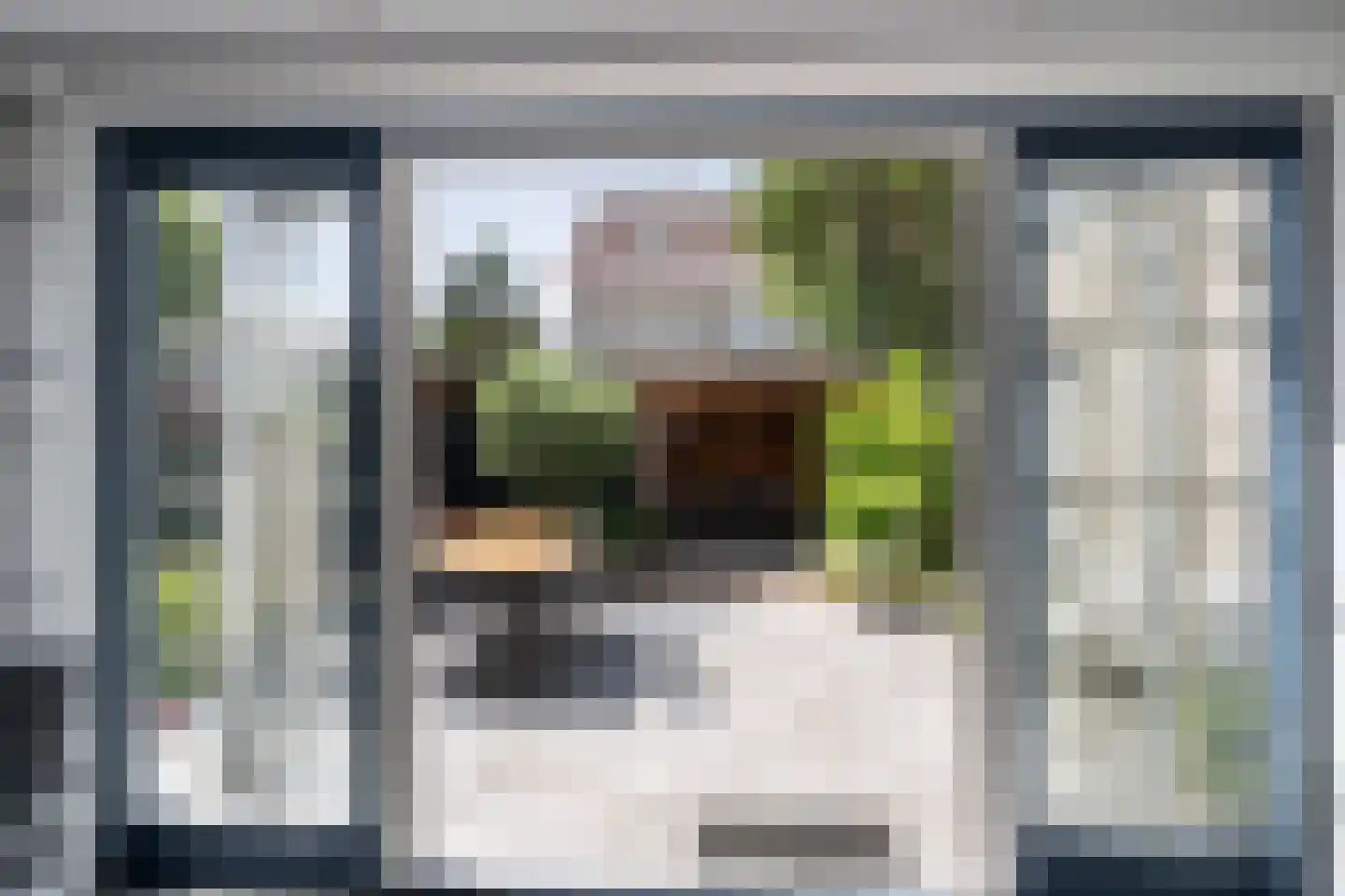 Parelduiker 1 Monster thumbnail 8
