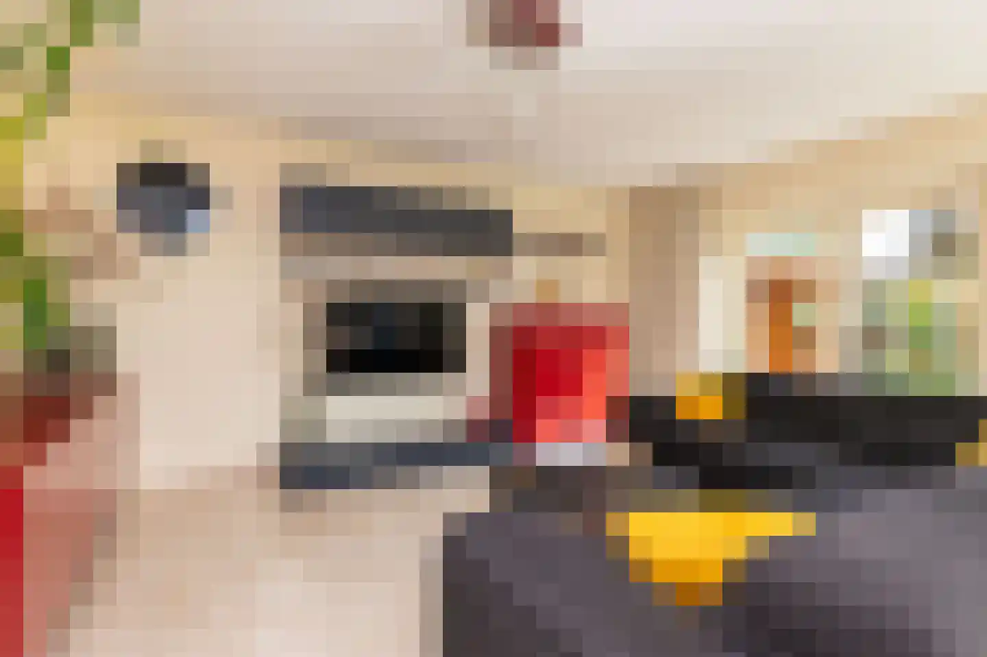 Parelduiker 15 Hoogkarspel thumbnail 13