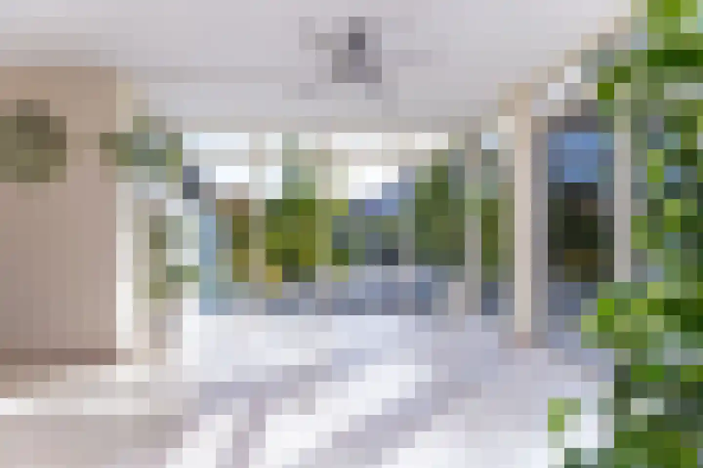 Parelduiker 15 Hoogkarspel thumbnail 16