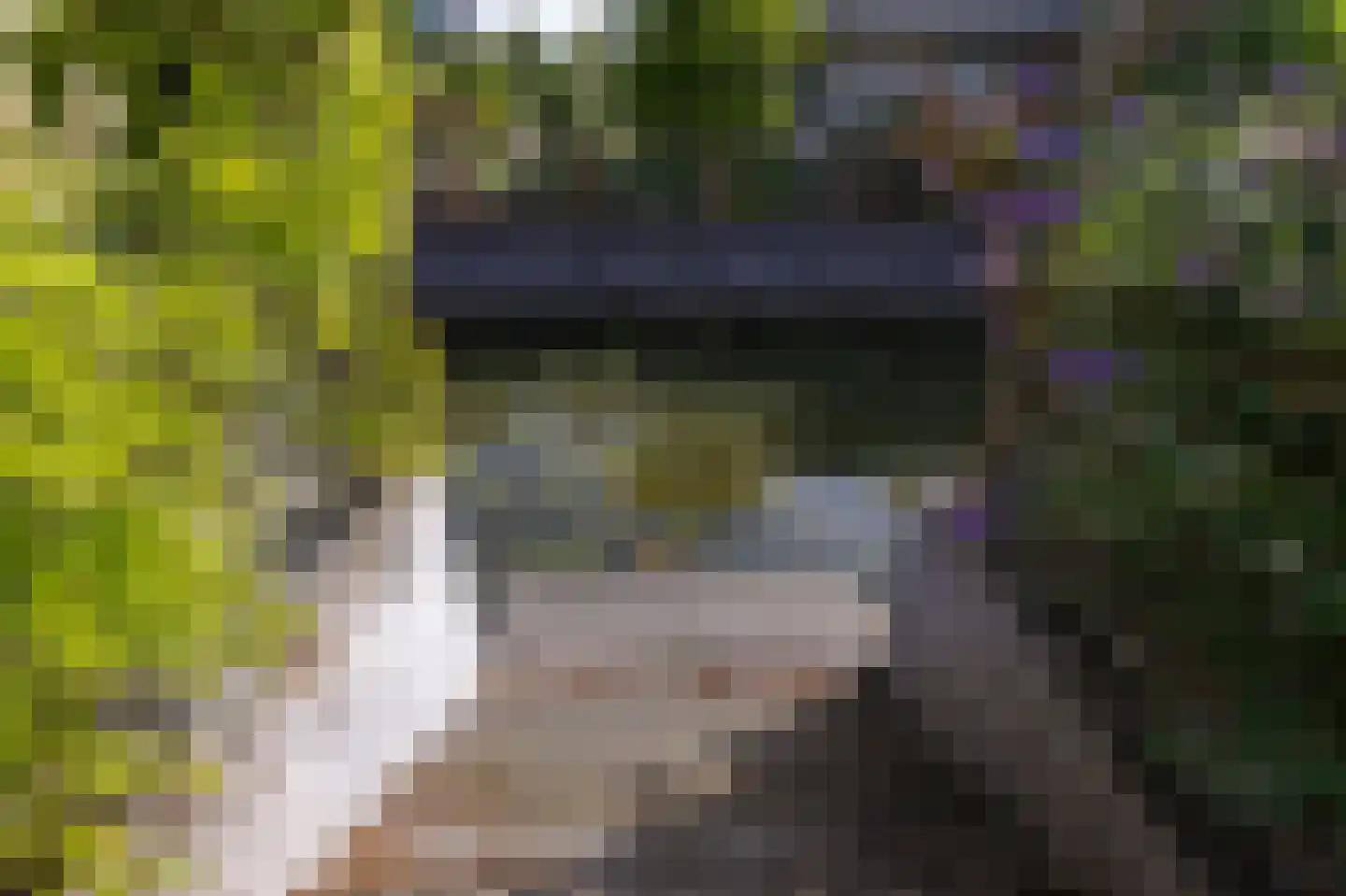 Parelduiker 15 Hoogkarspel thumbnail 19
