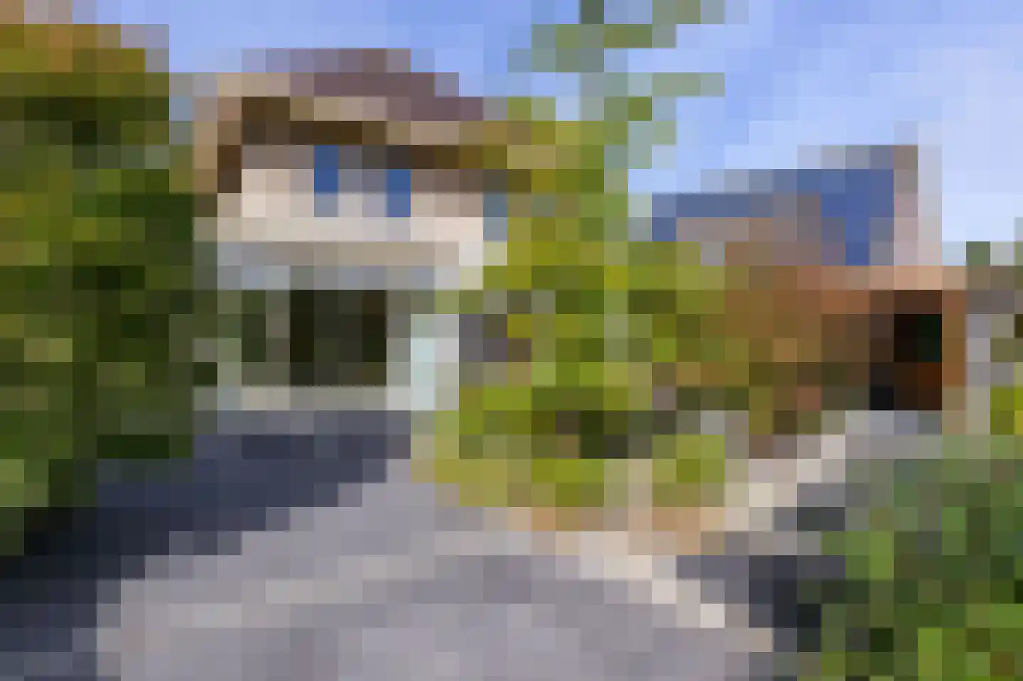 Parelduiker 15 Hoogkarspel thumbnail 20
